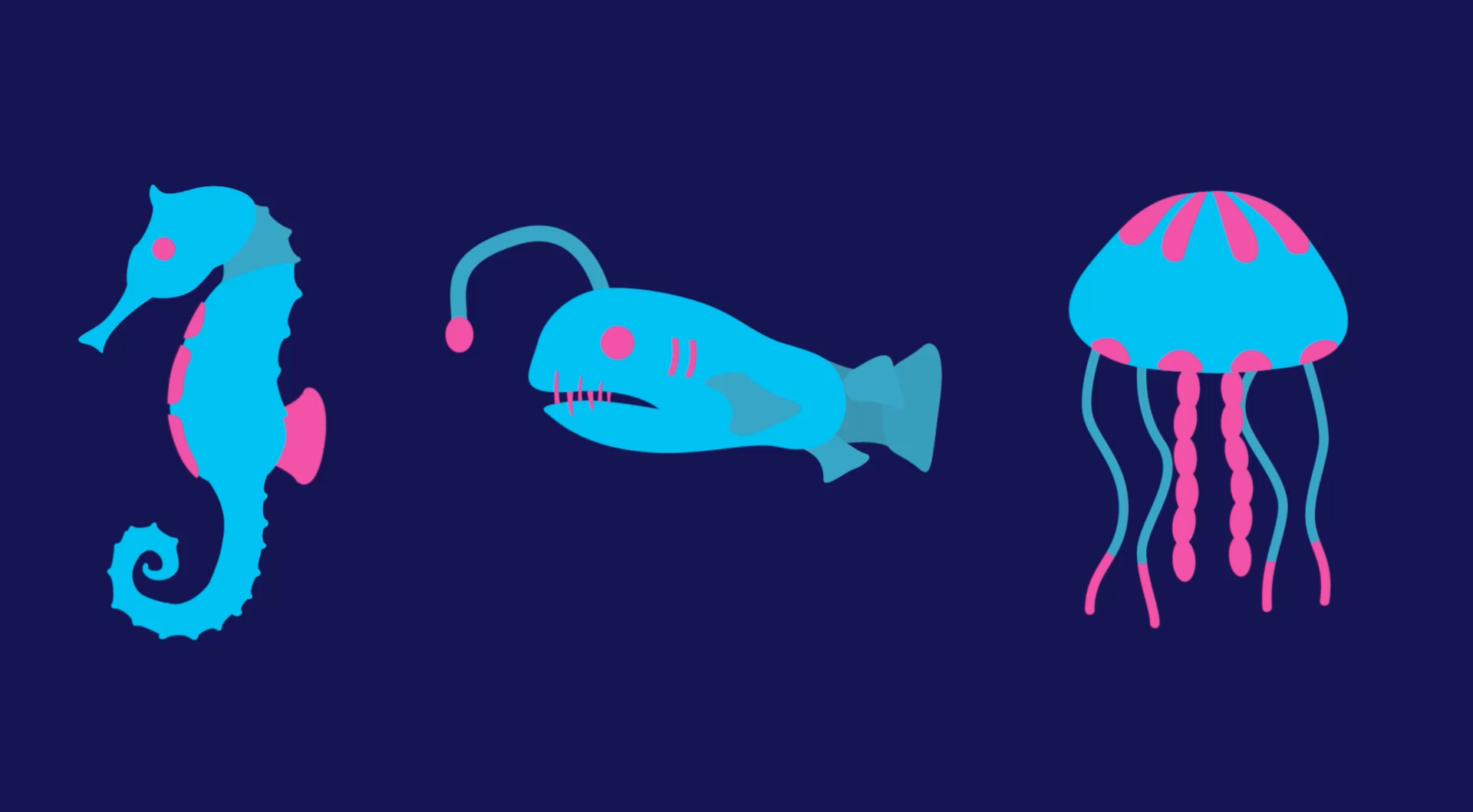 Motion Graphics